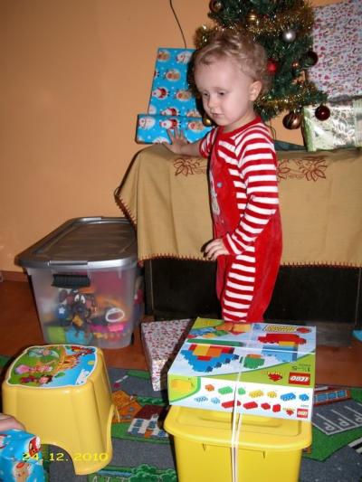 Vánoce 2010.jpg