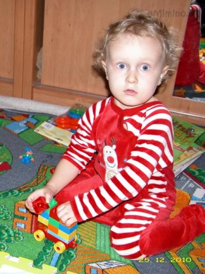 Vánoce 2010.jpg
