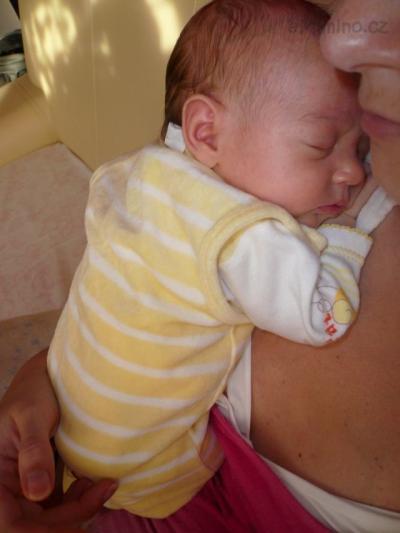 P1050177.JPG