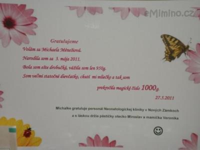3.6.2011
