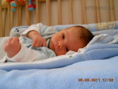 DSCN0462.JPG