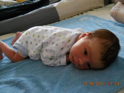 DSCN0523.JPG