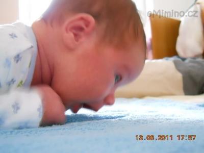 DSCN0528.JPG