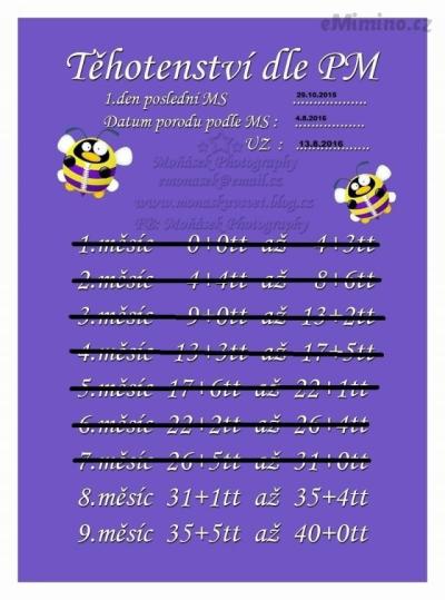 97bd4c7769_83327849_o2.jpg