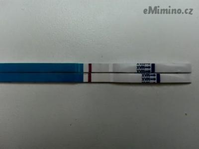 4614624.jpg