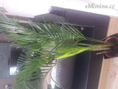 20160713_101449.jpg