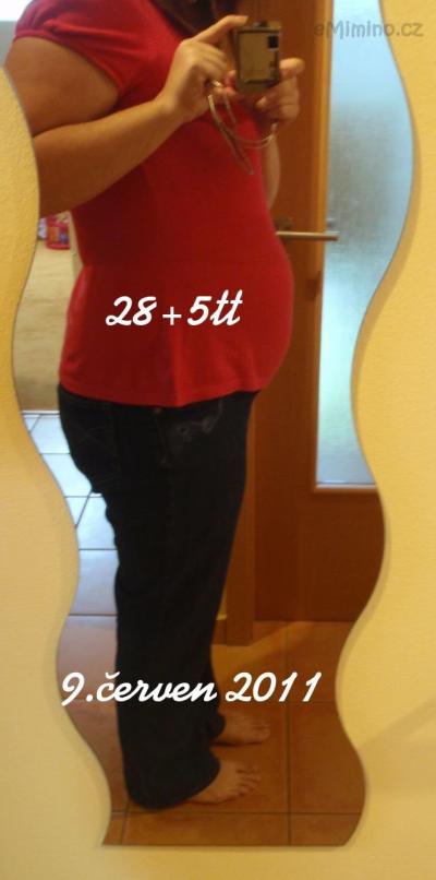 28+5 tt