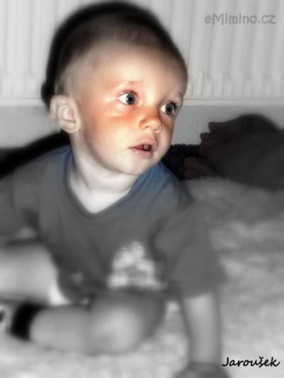 P1050230-2.jpg
