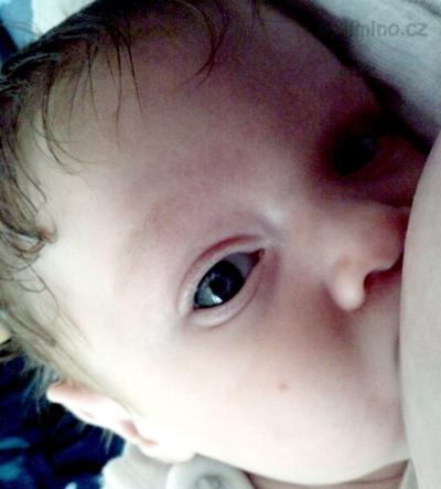 ADÁMEK2 003.jpg