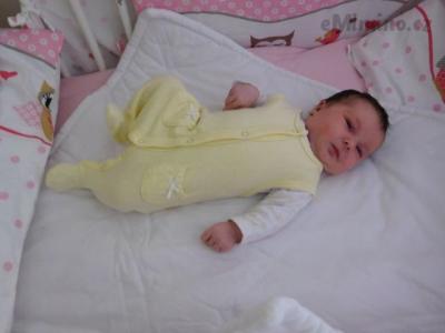 DSCN0138.JPG