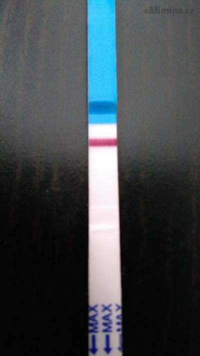 11dpo
