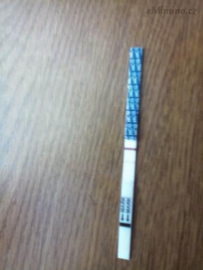 IMG_20160808_135131.jpg