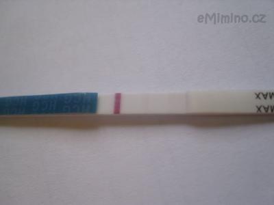 TT v den MS