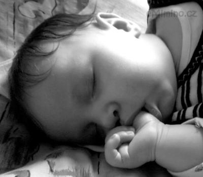 100_13132.jpg