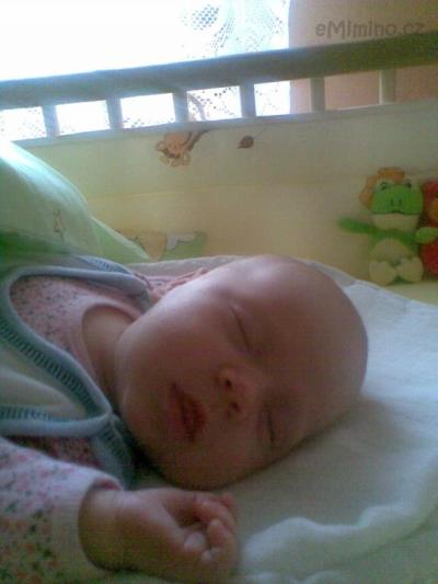 Obraz076.jpg