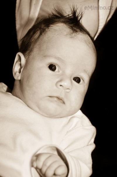 DSC_0931a.jpg