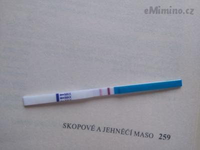 IMG_20160905_075324.jpg