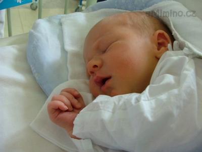 DSCF8831.JPG