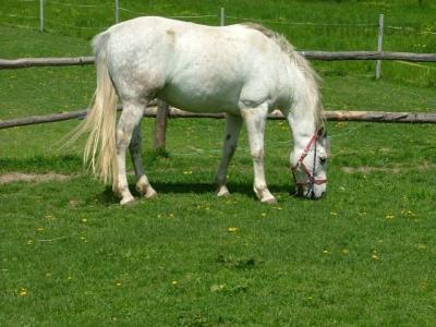 DSCF8749.JPG