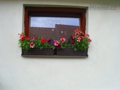 inspirace kvetin