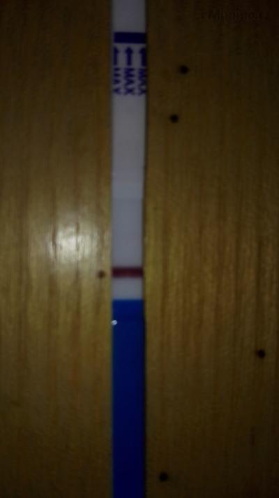 IMG_20160908_195523.jpg