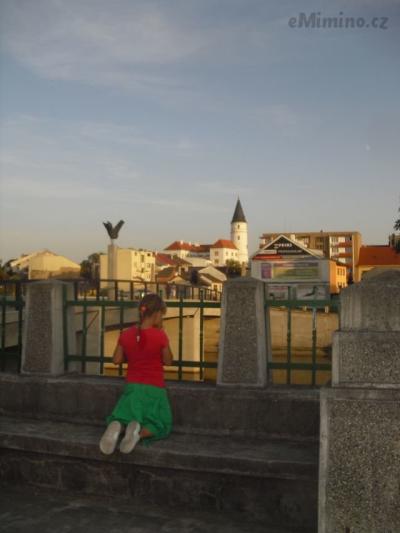 CIMG8438.JPG