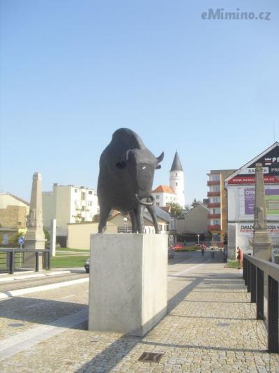 CIMG8459.JPG