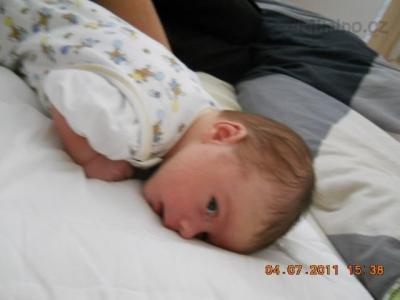 DSCN0726.JPG
