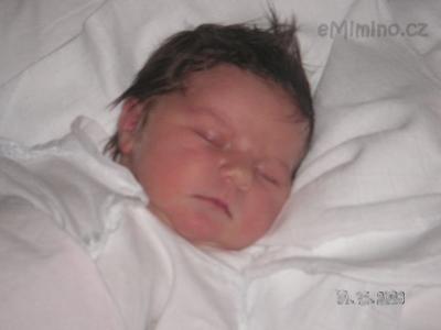 Snímek 004.jpg
