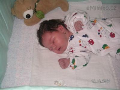 Snímek 018.jpg