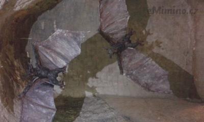 20160918_162615.jpg