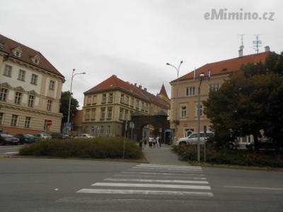DSCN2390.JPG