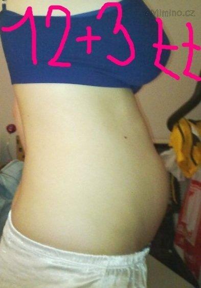 Bříško 12+3 tt.jpg