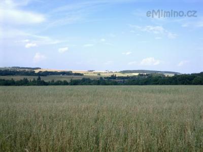060720111111.jpg