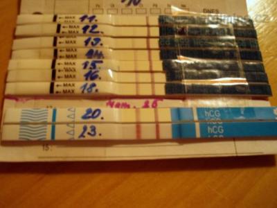 23DPO.JPG