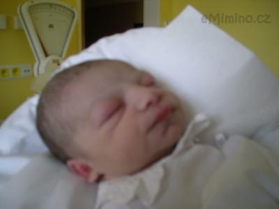 DSCN1505.JPG