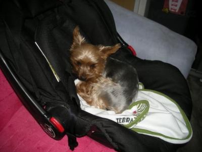 DSCN1638.JPG