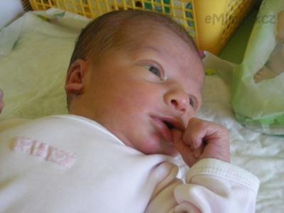 DSCN1617.JPG