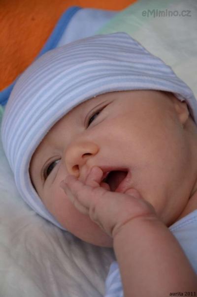 DSC_3970_1_1.JPG