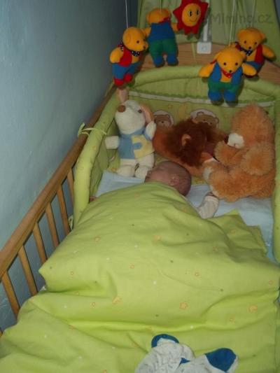 100_0013.JPG
