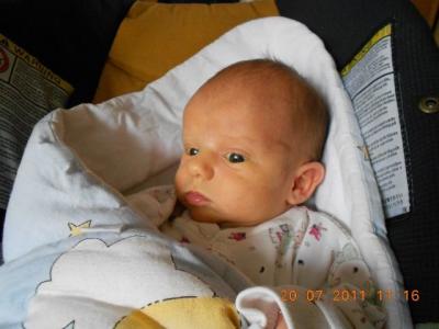 DSCN0139.JPG