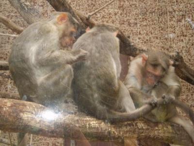 Zoo - ústí 26.7.2011 021.JPG