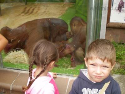 Zoo - ústí 26.7.2011 016.JPG