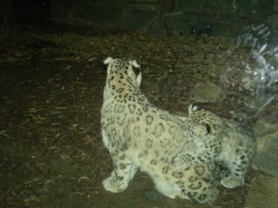 Zoo - ústí 26.7.2011 028.JPG