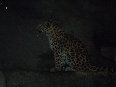 Zoo - ústí 26.7.2011 029.JPG