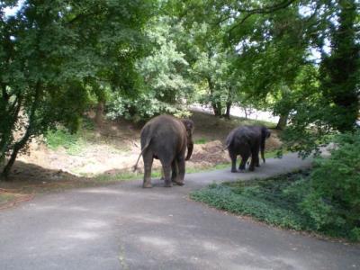 Zoo - ústí 26.7.2011 047.JPG