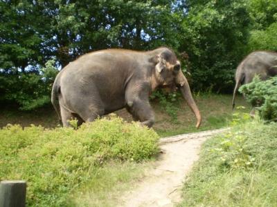 Zoo - ústí 26.7.2011 046.JPG