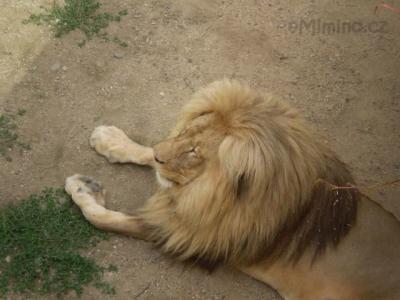 Zoo - ústí 26.7.2011 063.JPG