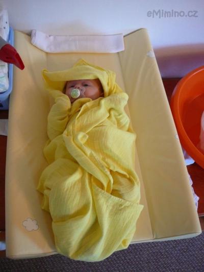 P1090055.JPG