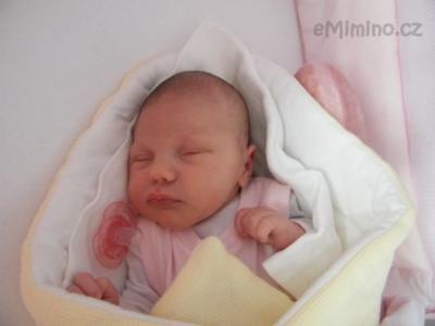 DSCF8715.jpg
